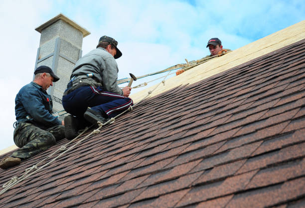 Quick and Trustworthy Emergency Roof Repair Services in Inverness Highlands South, FL